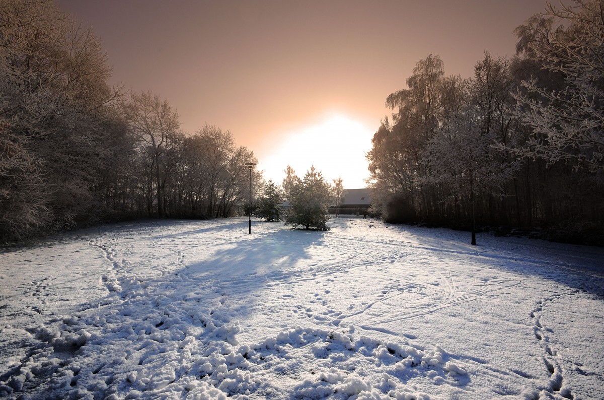 Wald zwischen Gartenstadt Flensburg und Stiftungsland Schäferhaus. Aufnahmedatum: 28. Dezember 2010.