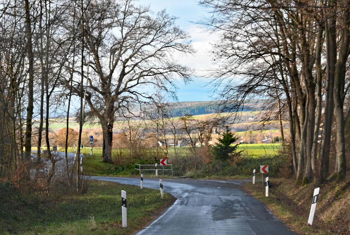 Waldstraße bei der Steinbachtalsperre - 12.12.2023