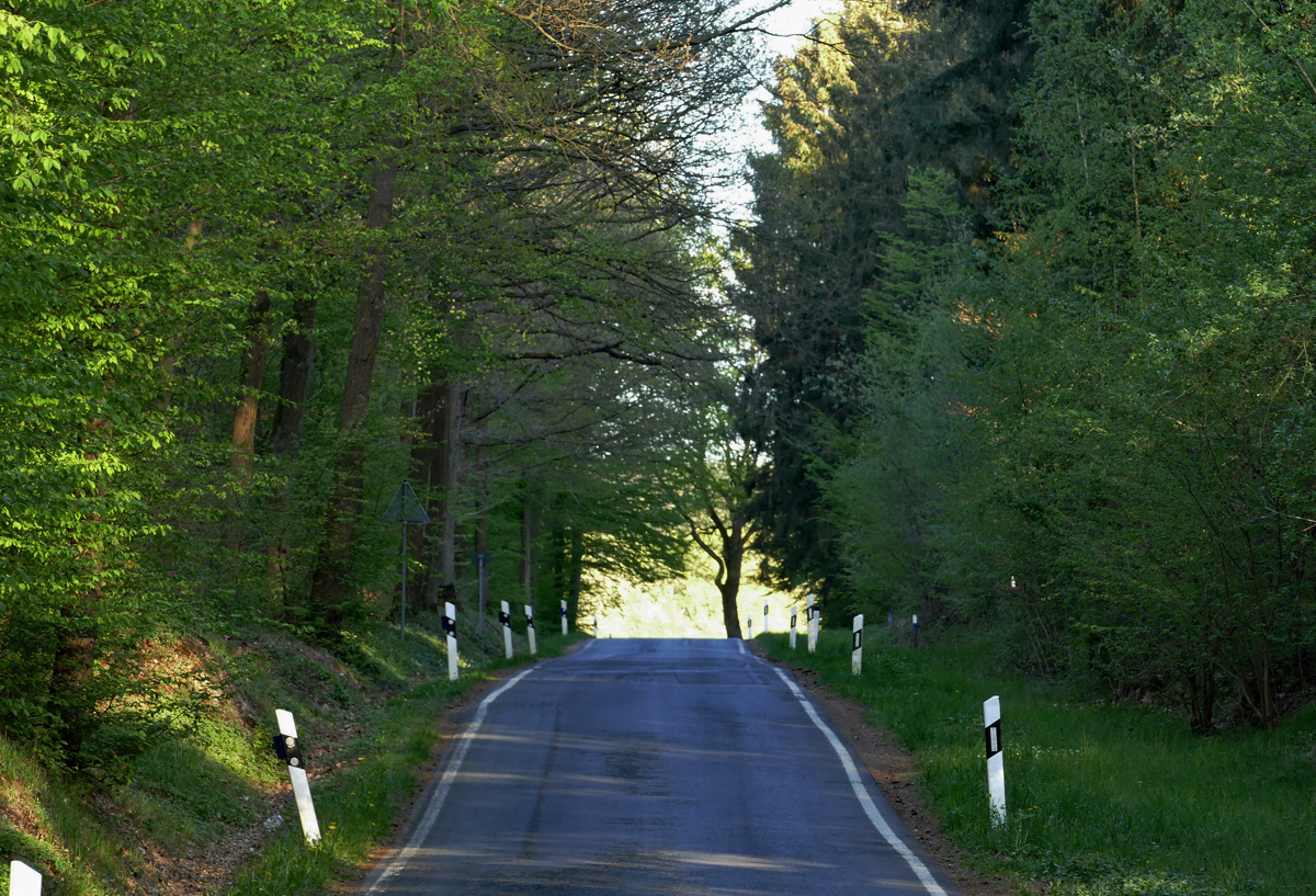 Waldstrasse in der Voreifel bei der Steinbachtalsperre - 22.04.2020