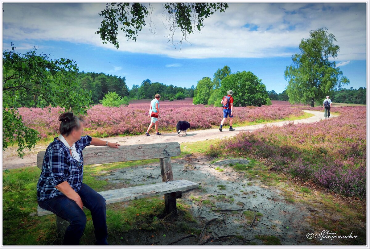 Wanderer am Wietzer Berg bei Müden an der Örtze. Am höchsten Punkt der Anhöhe befindet sich das Hermann Löns Denkmal. Naturpark Südheide, August 2023.