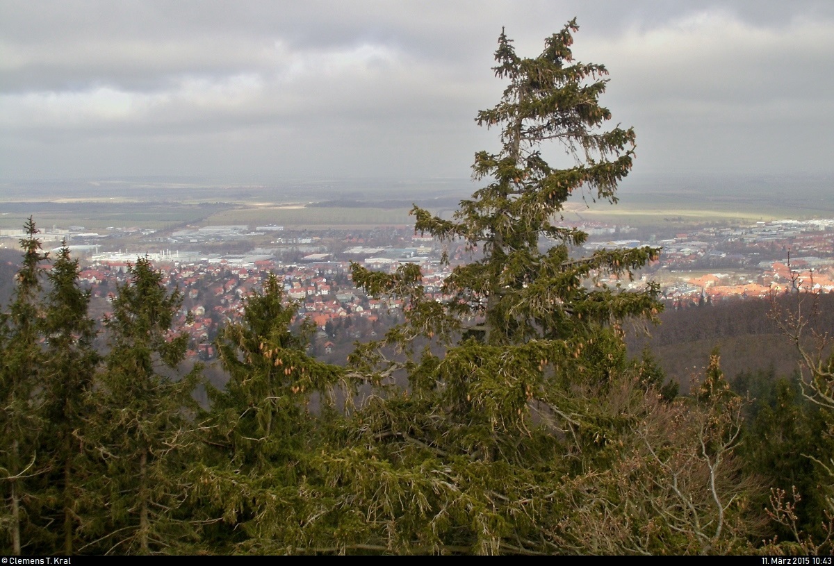 Wanderung vom Hasseröder Ferienpark zum Schloss Wernigerode.
Hinter dem Nadelwald ist die Stadt Wernigerode zu erkennen.
[11.3.2015 | 10:43 Uhr]