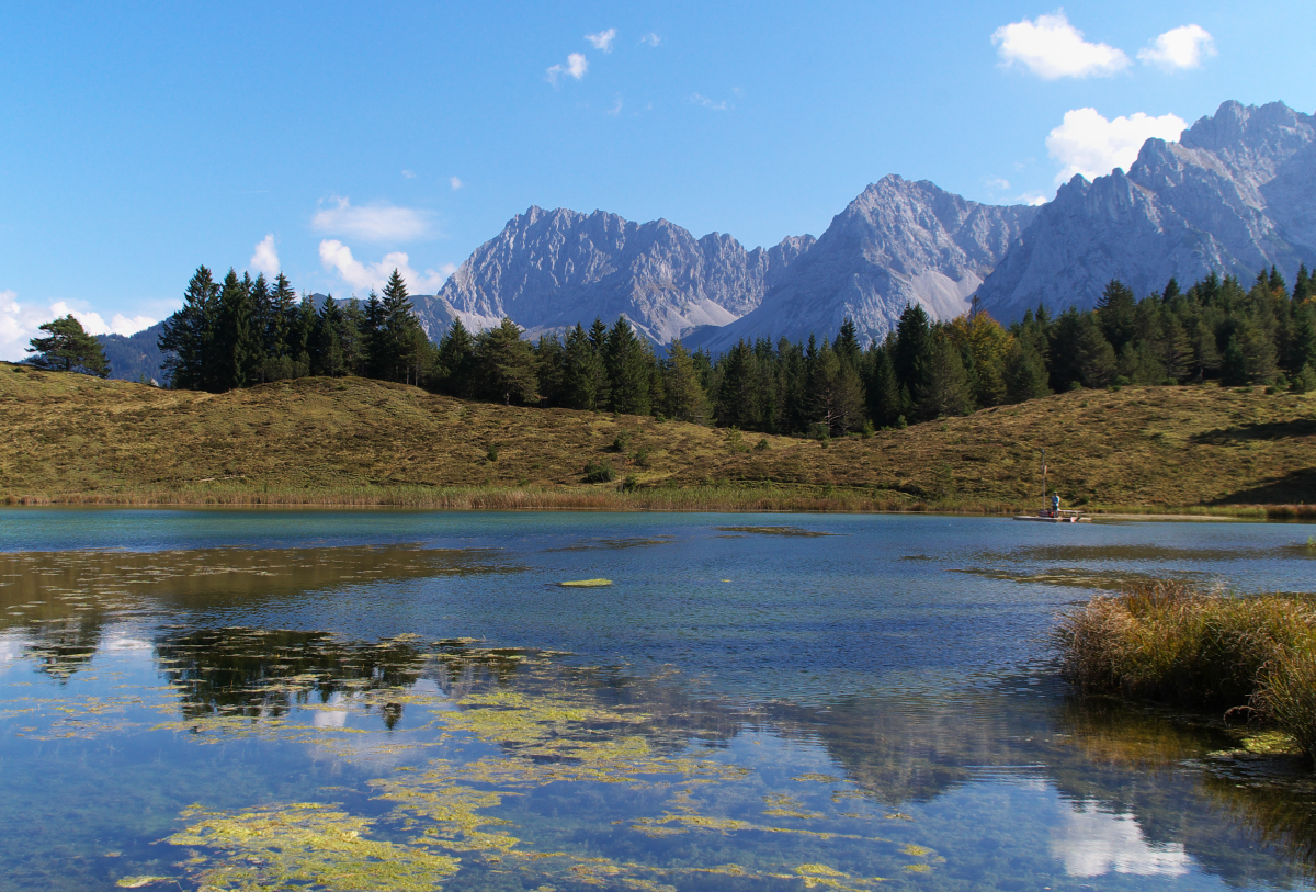 Wanderung zum Wildensee - Am 06.10.2014 ging es hinauf zum Wildensee bei Mittenwald.
In Klais/Mittenwald Am Quicken geht ein Weg hinauf zum See und zwar durch das Truppenübungsgebiet der Mittenwalder Gebirgsjäger. Außerhalb der Übungszeiten dar das Gelände betreten werden, nur gibt es keine Wegweiser und man muß sich vorher schon einen Plan zum Wandern ausarbeiten. Der See liegt auf 1136 Meter unterhalb des Kranzberges, der Ausgangspunkt in Klais etwa bei 930 Metern. Der See hat eine Fläche von ca. 2,3 ha. Hier der Blick auf die Karwendelspitzen bei Mittenwald. Zwischendurch erreicht man etwa eine Höhe von 1200 Metern. Nach zwei Stunden fast nur bergauf entschädigt dieser Blick die Anstrengungen. 06.10.2014