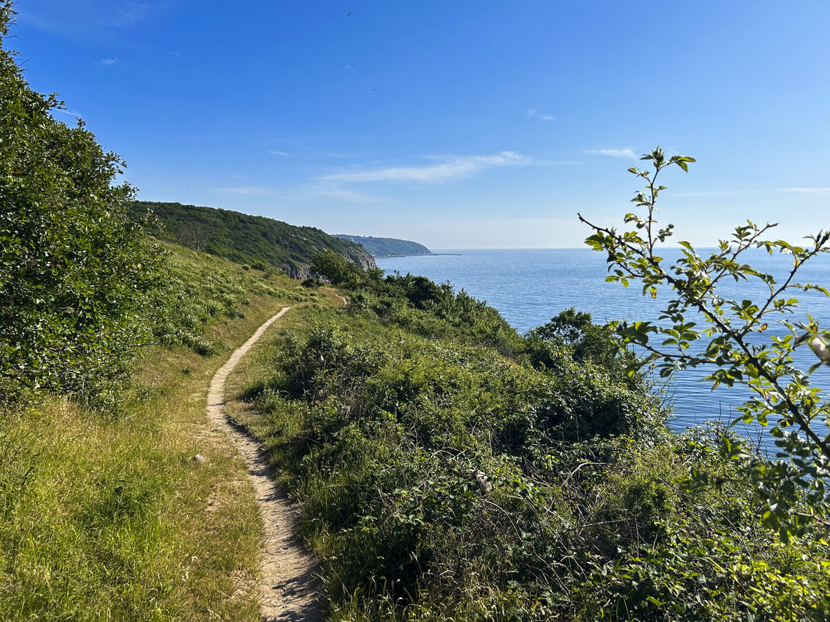 Wanderweg entlang der Westküste von Bornholm. Aufnahme: 16. Juni 2023.