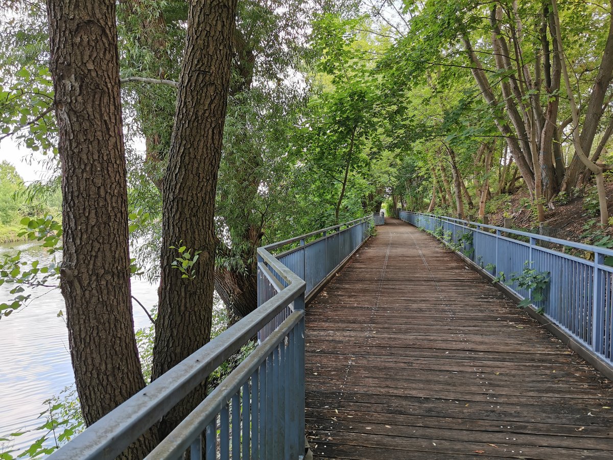 Wanderweg mit Holzbrücke entlang der Spree auf der Insel zwischen Spree und Westhafenkanal. Aufgenommen am 14.06.2020.