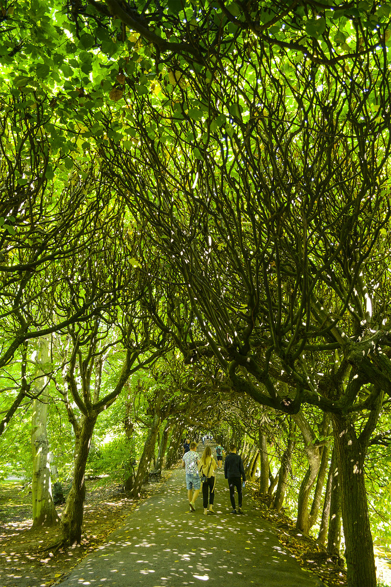 Wanderweg im Park Oliwska im Danziger Ortsteil Oliwa. Aufnahme: 14. August 2019.