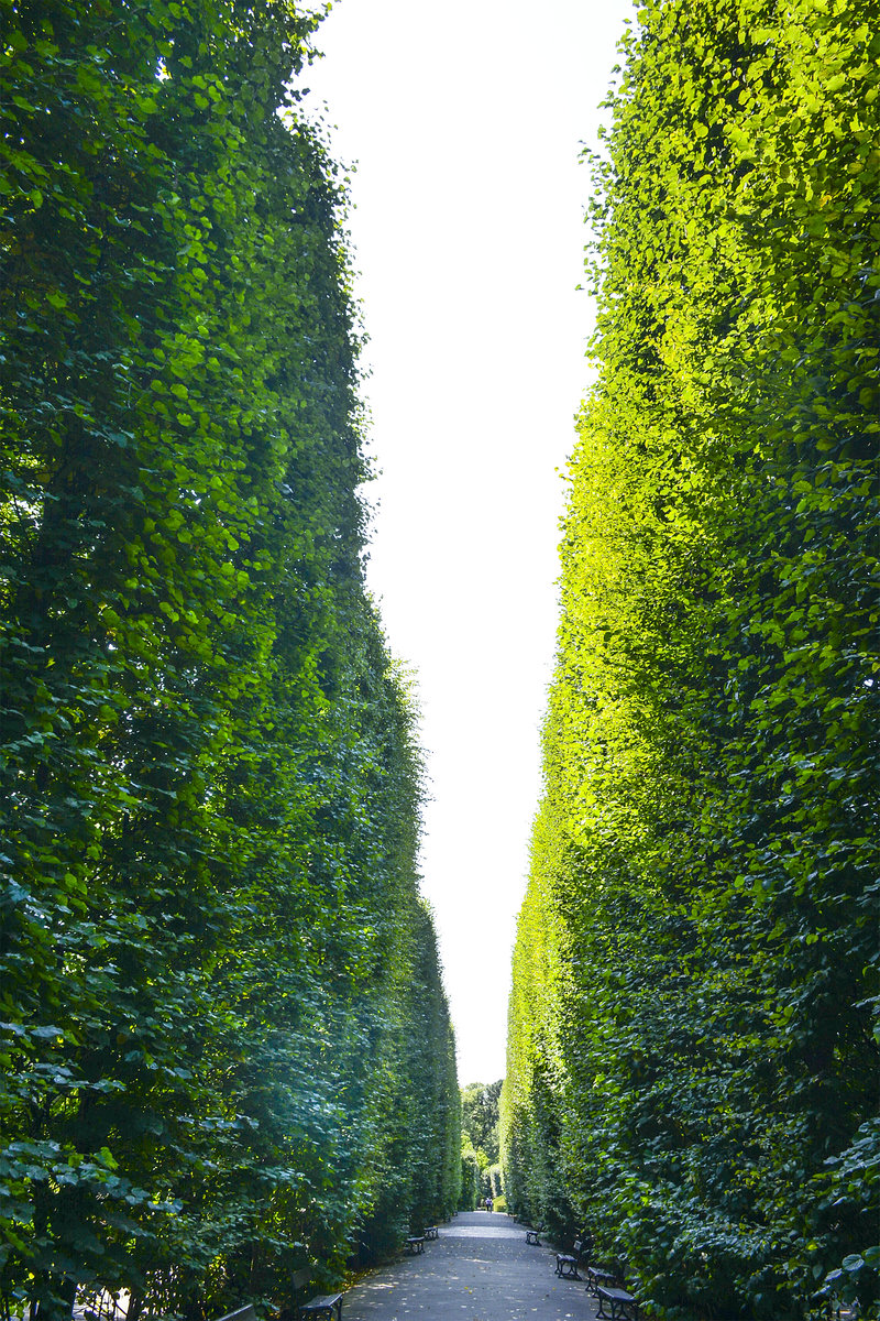 Wanderweg im Park Oliwska im Danziger Ortsteil Oliwa. Aufnahme: 14. August 2019.