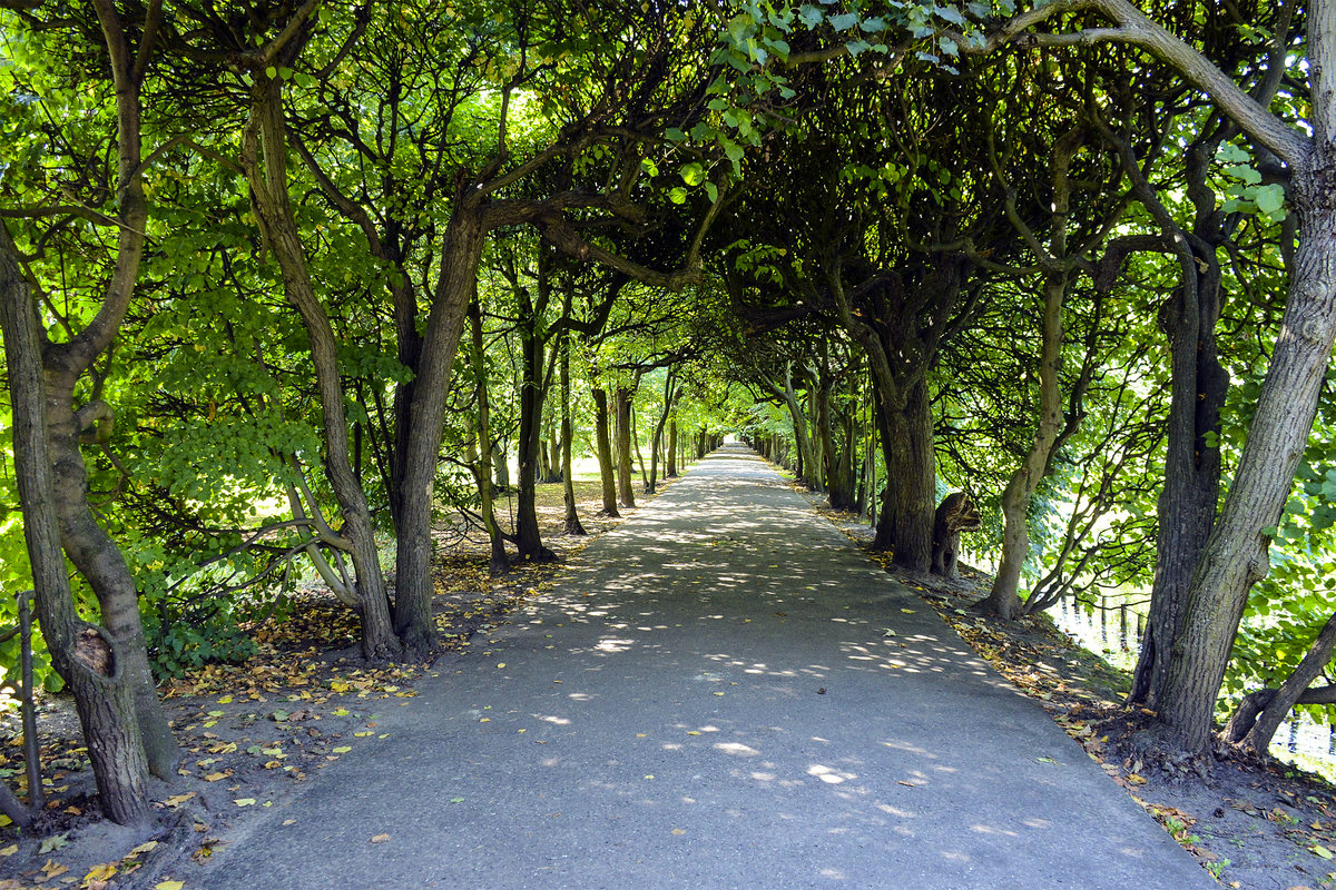 Wanderweg im Park Oliwska im Danziger Ortsteil Oliwa. Aufnahme: 14. August 2019.