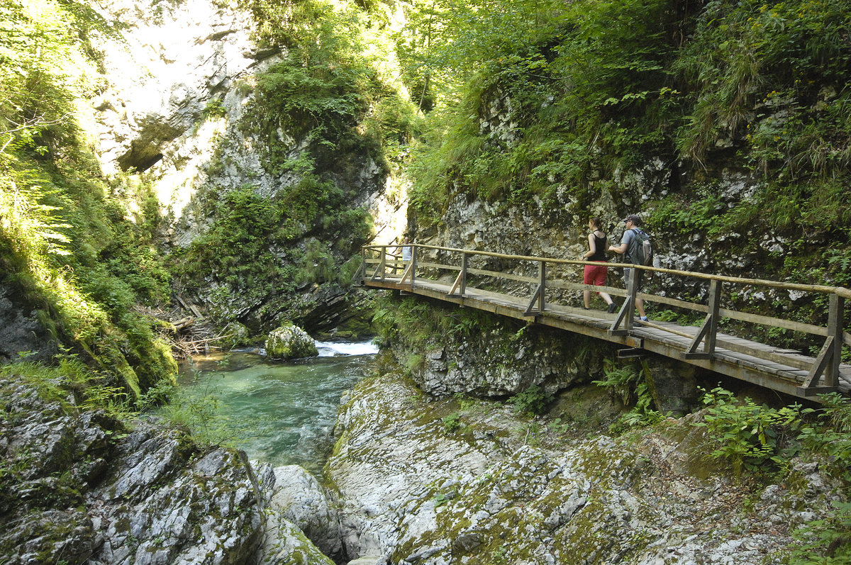 Wanderweg in der Vintgar-Schlucht (slowenisch: Blejski Vintgar). Aufnahme: 2. August 2016.