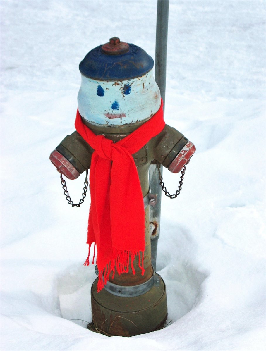 Wasserhydrant-Männchen haben die unterschiedlichsten Mechanismen entwickelt, um in frostiger Umgebung zu überleben... Bettmeralp, Kanton Wallis, Schweiz - 21.01.2007