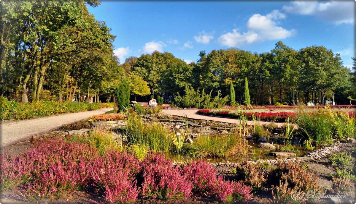 Wasserlandschaft im Heidegarten Schneverdingen, Oktober 2014. Die Besenheide im Naturpark Lüneburger Heide ist längst verblüht, die bunten Zuchtsorten im Heidegarten erfreuen uns bis in den Herbst hinein.