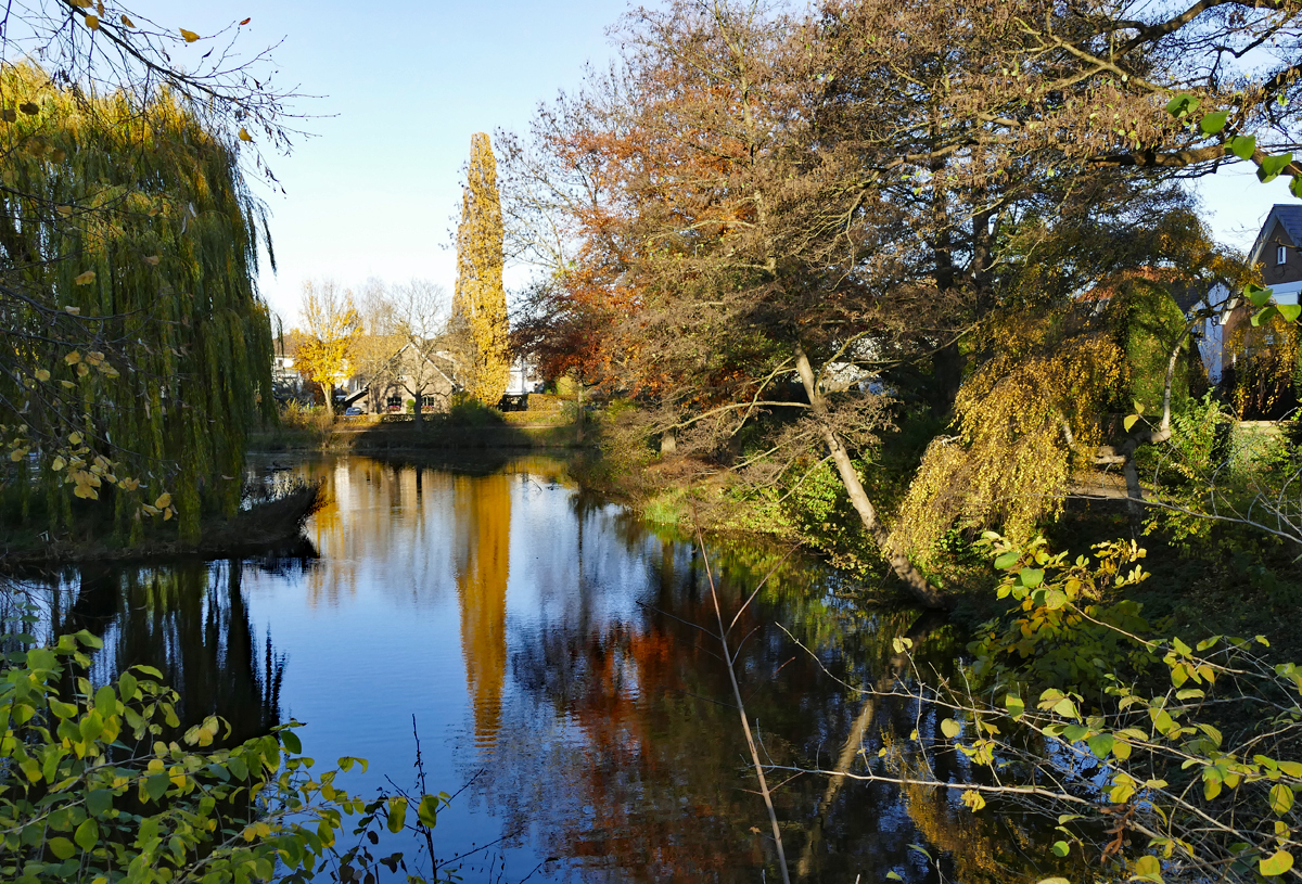 Wasserspiegelung im Spätherbst im Schillerpark Euskirchen - 22.11.2017