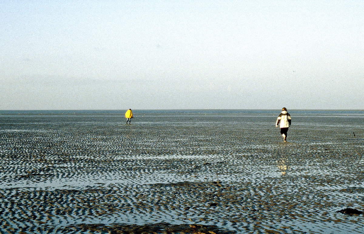 Watt zwischen Pellworm und den Halligen Süderoogsand und Norderoogsand. Bild vom Dia. Aufnahme: Januar 2000.