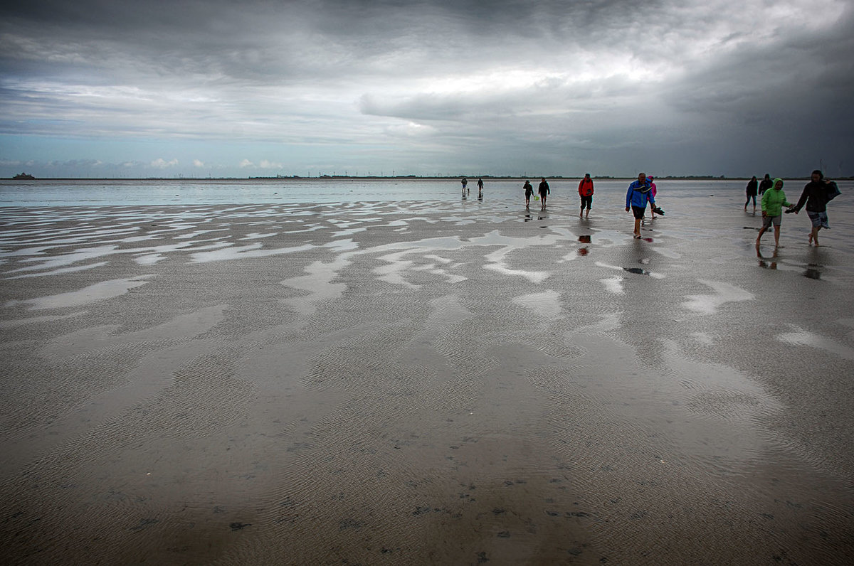 Wattwanderung im Nordfriesischen Wattenmeer. Im Rahmen einer organisierten Wattführung kann man Informationen über den Naturraum Wattenmeer, die Lebewesen im Wattboden und die Wirkung der Gezeiten auf das Wattenmeer erhalten. Geführte Wattwanderungen werden von den meisten Fremdenverkehrsämtern und Naturschutzvereinen wie der Schutzstation Wattenmeer angeboten.


Aufnahme: 25. Juni 2017.