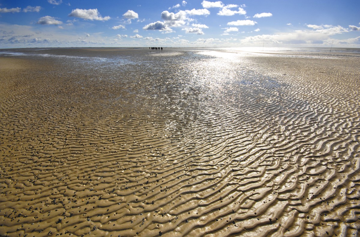 Wattwanderung von Pellworm nach Hallig Süderoog. Aufnahmedatum: 22. September 2012.