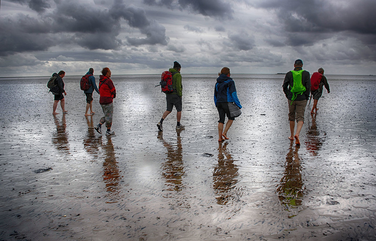 Wattwanderung zwischen dem nordfriesischen Festland und der Hallig Oland.

Unter Wattwandern versteht man eine Wanderung im Watt. Diese kann unter Leitung eines kundigen Wattführers unternommen werden, der mit den besonderen Gefahren im Watt vertraut ist. Zu oder zwischen einigen Insel gibt es Wattwanderwege, die teilweise auch mit Buschpricken markiert sind und mit Rettungsbaken Schutz bei Überraschung der Wanderer durch die Flut bieten.
Aufnahme: 25. Juni 2017.