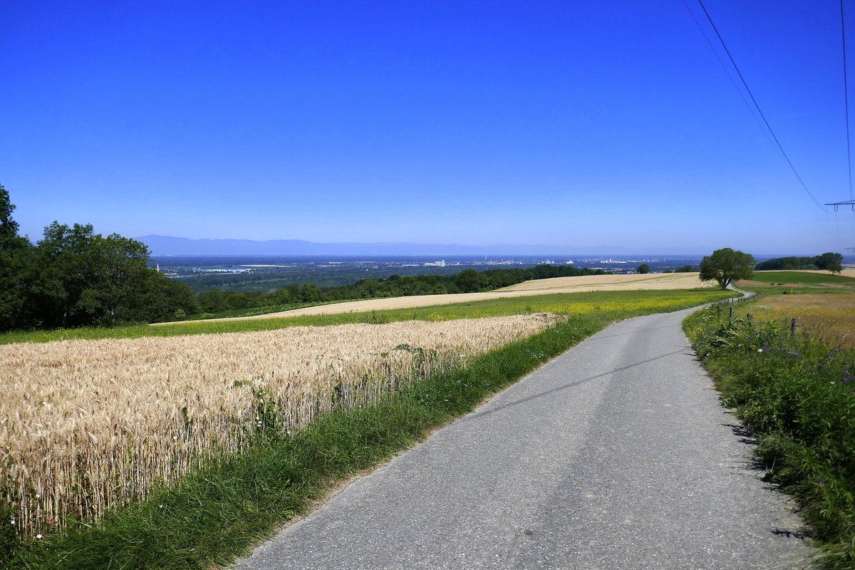 Weg mit großartiger Aussicht, über die Berge des Markgräflerlandes zwischen Bamlach und Schliengen, mit Blick in die Rheinebene und zu den Vogesen im Hintergrund, Juli 2019