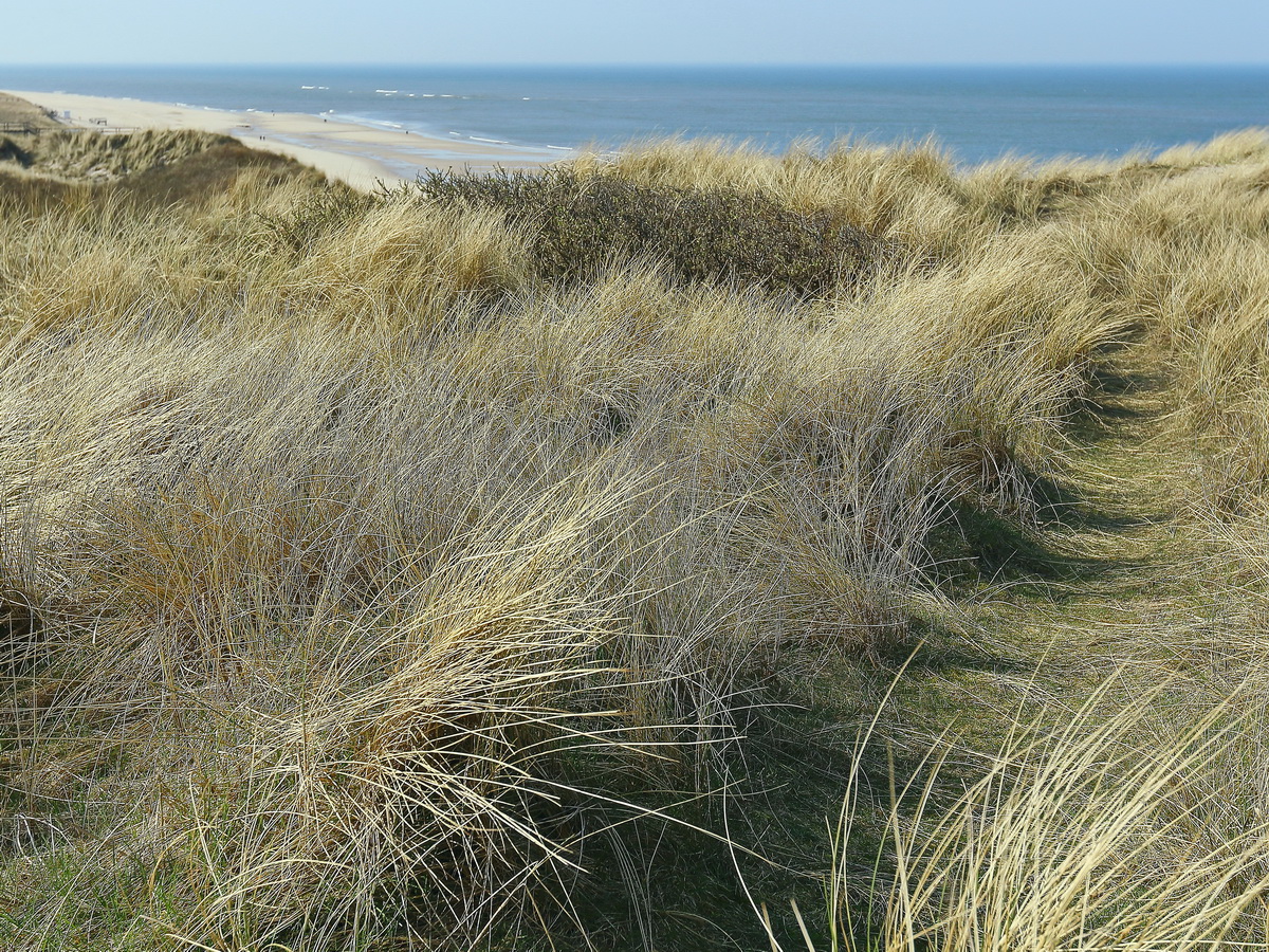 Weg nach Oben auf der Himmelsleiter in Westerland (Sylt) am 19. April 2018.