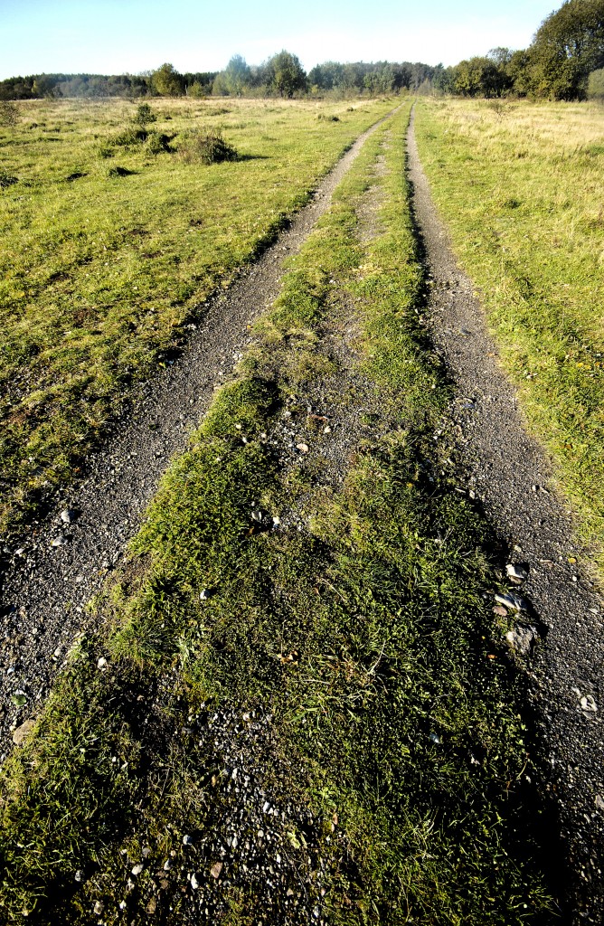 Weg im Naturschutzgebiet Schäferhaus Nord. Aufnahme: 20. Oktober 2010.