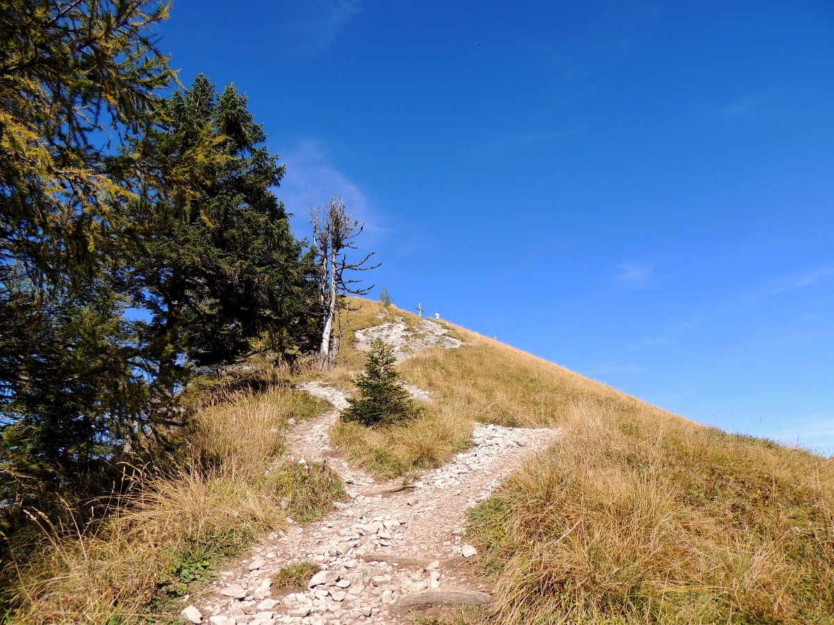 Weg zum 1603mtr. hohen Wieslerhorn im Postalmgebiet; 140928