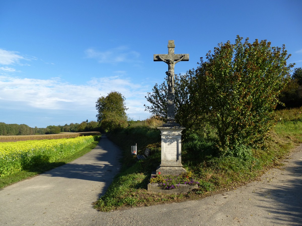 Wegekreuz am Marchhgel in der Rheinebene, Okt.2014