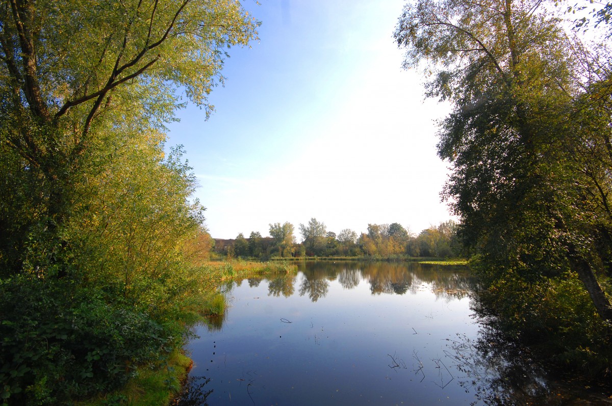 Weiche Teich in Flensburg. Aufnahme: September 2011.