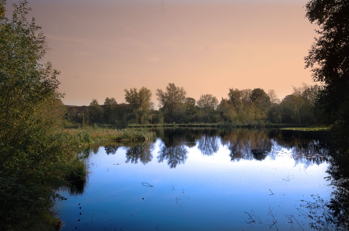 Weiche Teich in Flensburg. Aufnahme: Septgember 2011.