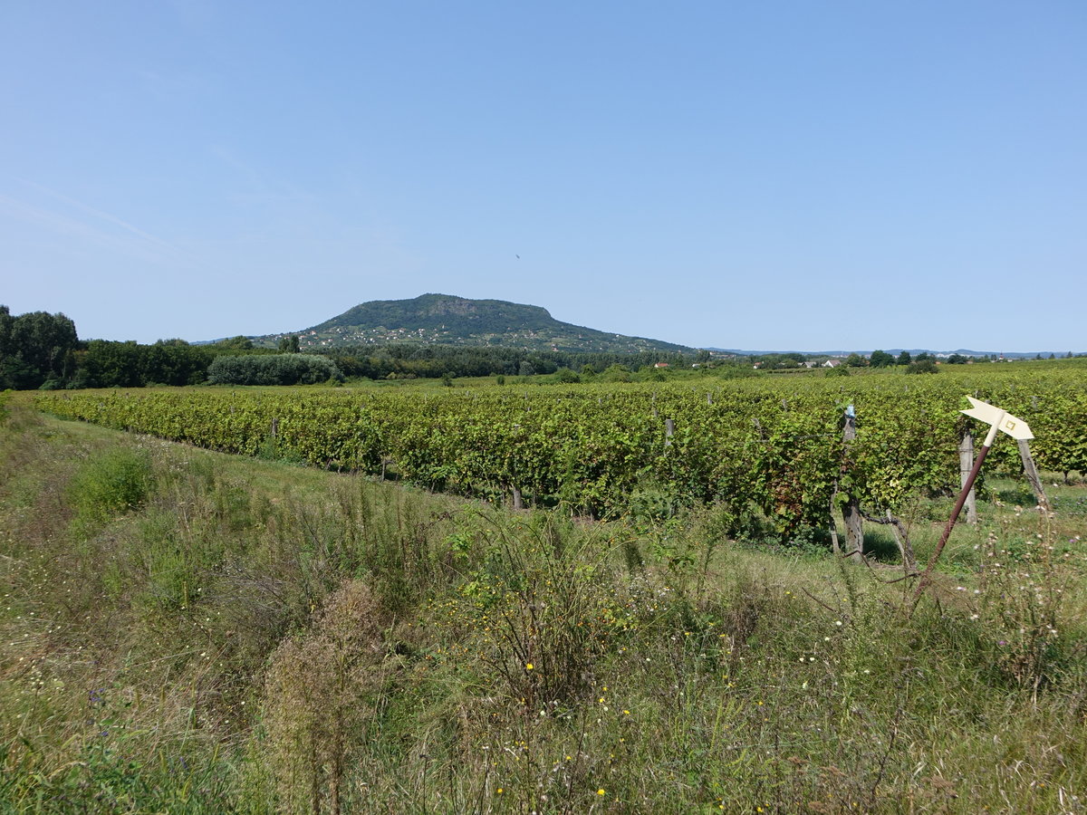 Wein- und Kegelberge bei Badacsony (28.08.2018)