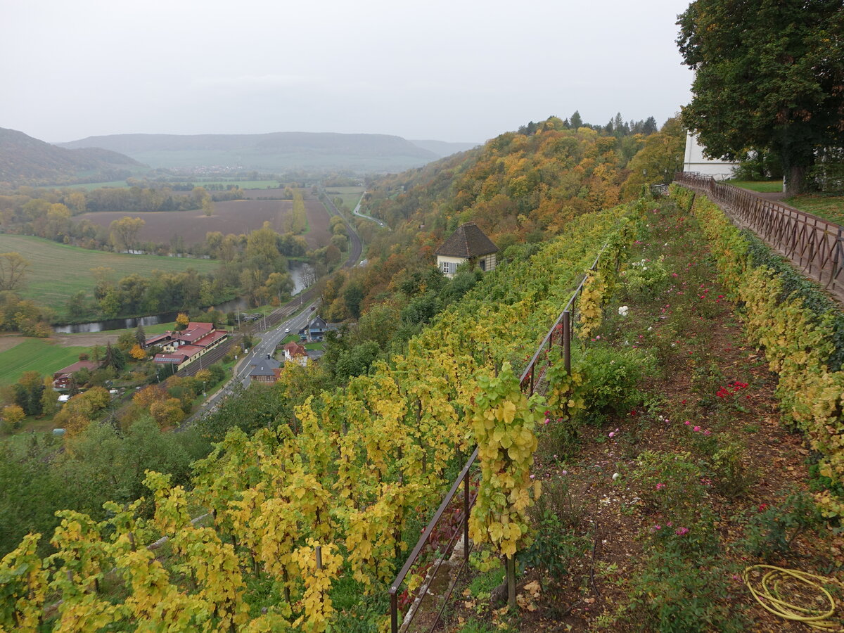 Weinberge bei den Dornburger Schlössern (21.10.2022)