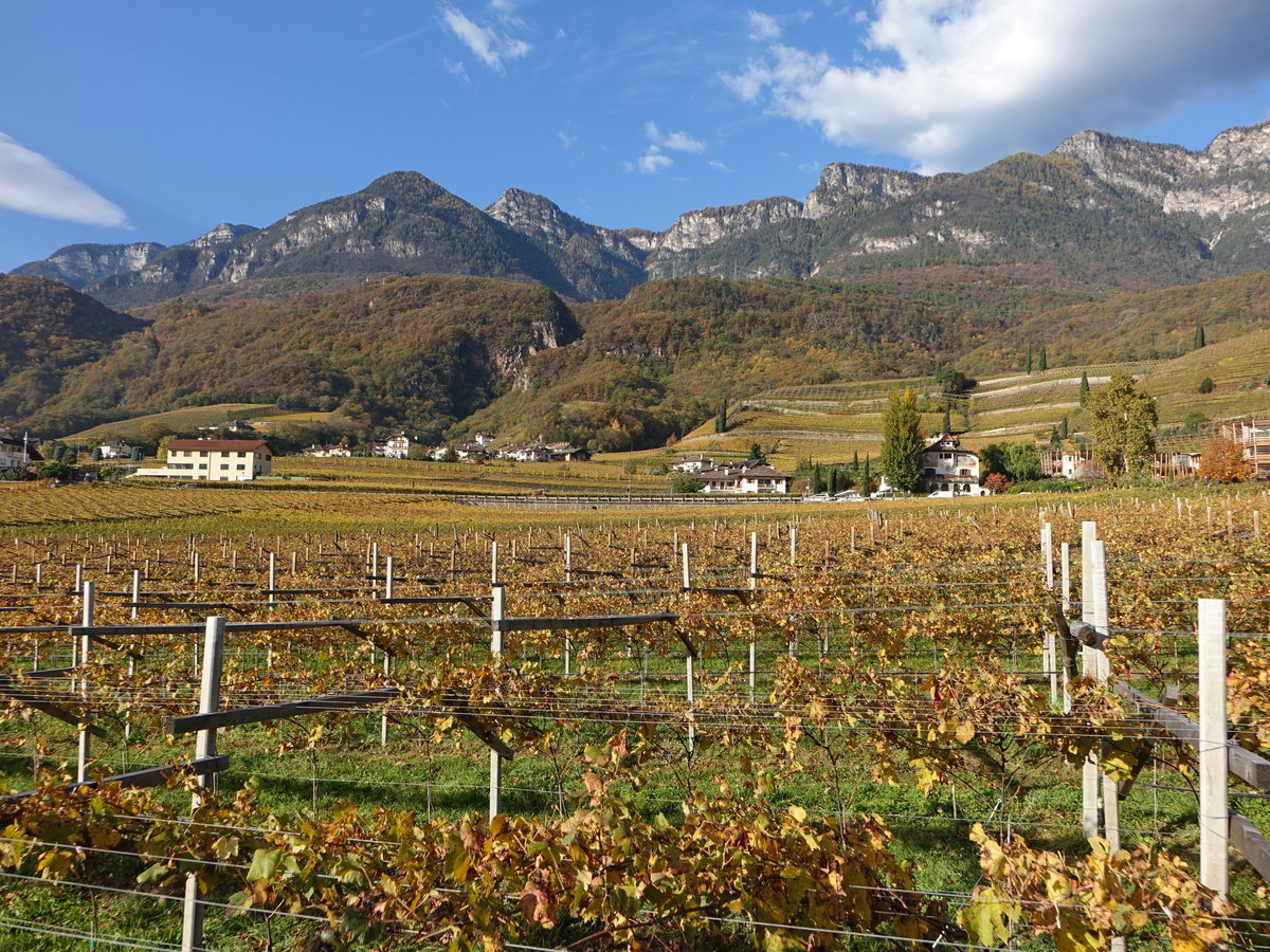 Weinberge bei Tramin an der Weinstraße (27.10.2017)