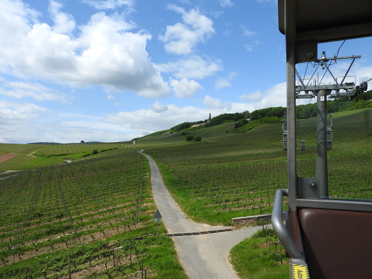 WEINBERGE im MITTELRHEINTAL-am 15.5.2016 fotografiert aus der Seilbahngondel
von RÜDESHEIM aufs NIEDERWALDDENKMAL,im Hintergrund zu erkennen-
ROMANTIK PUR!!!