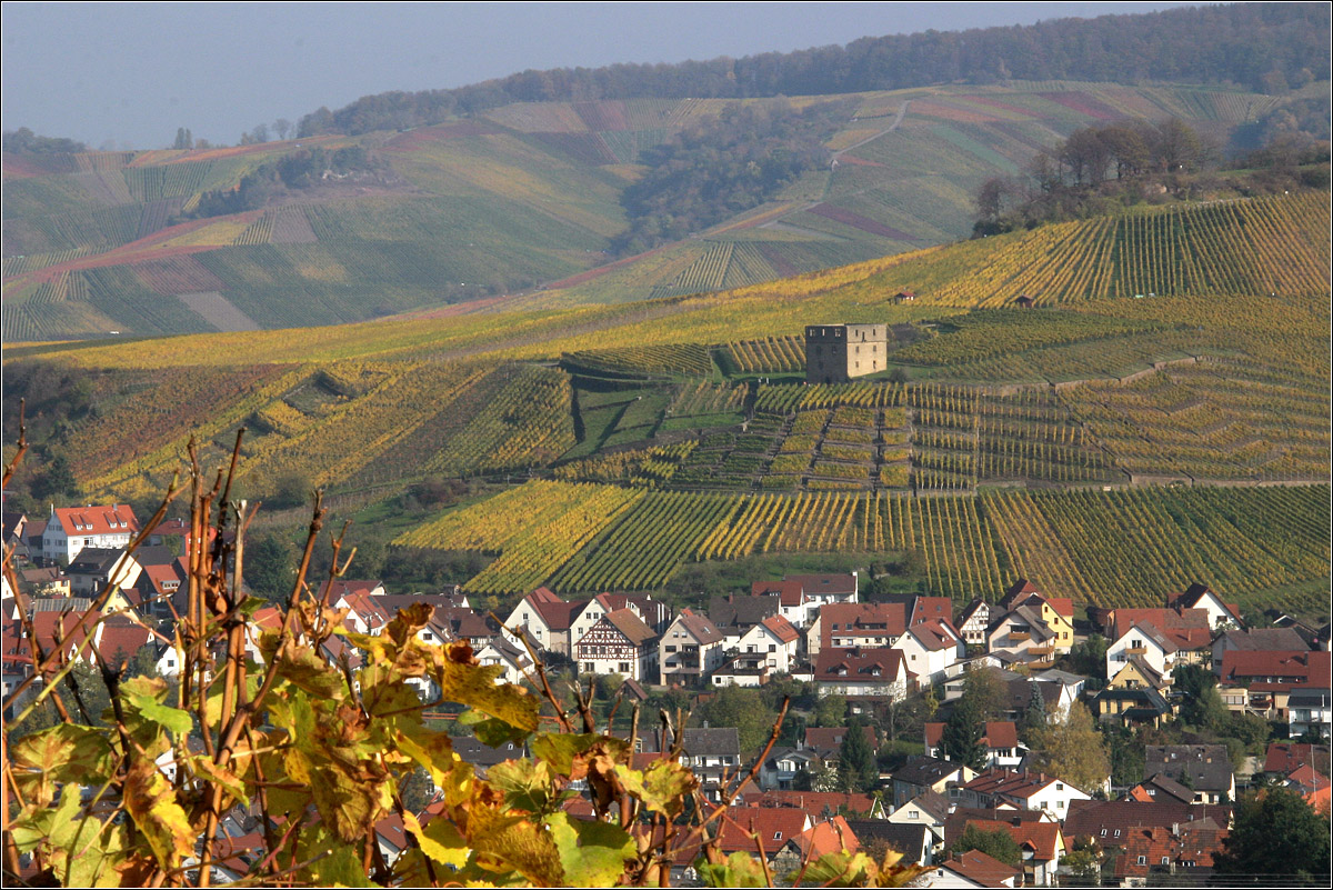 Weinberglandschaft -

Stetten im Remstal mit der Yburg. 

25.10.2008 (M)