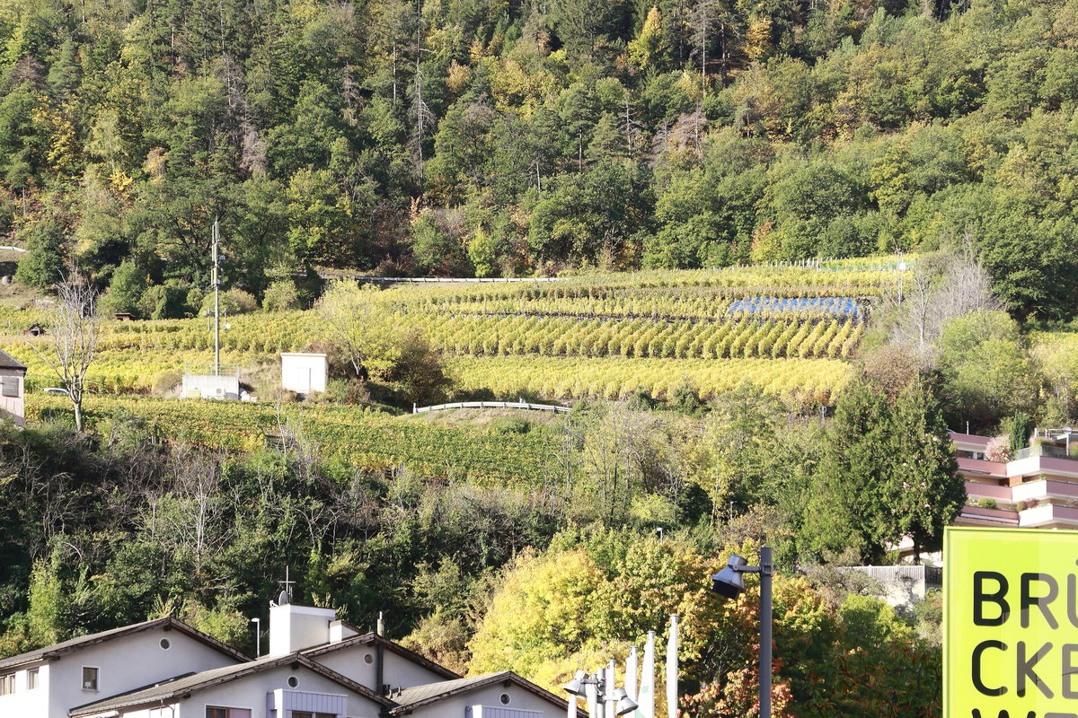 Weinhang am Rand von Visp nahe dem Zentrum am 16. Oktober 2019.