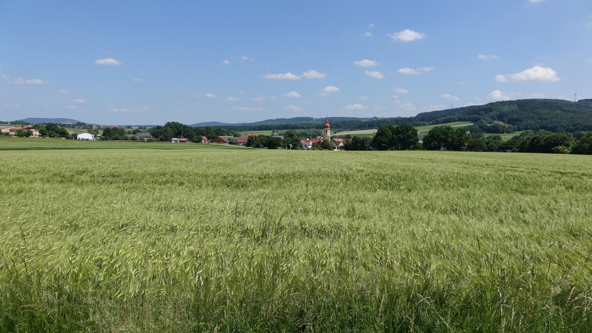 Weißenburger Alb bei Höttingen, Mittelfranken (04.06.2015)