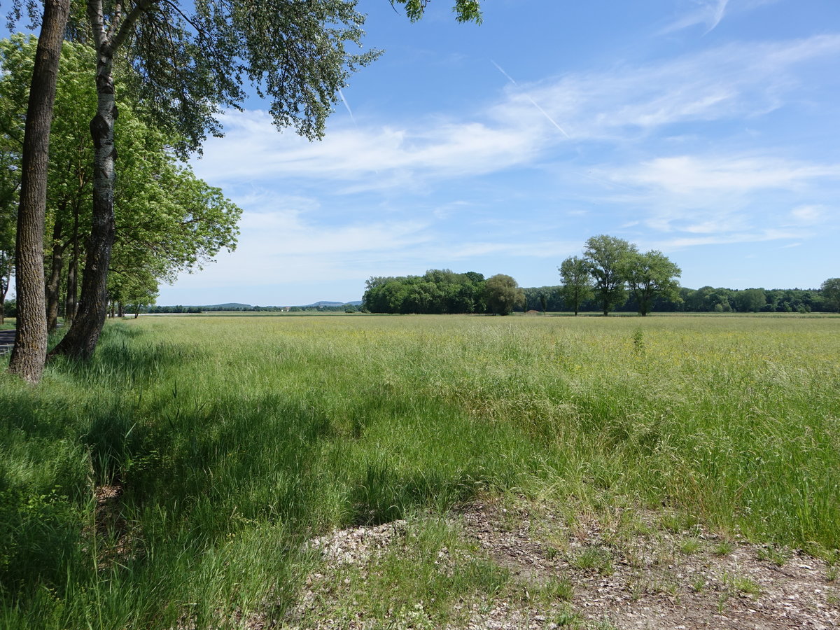 Weite Ebene zwischen Main und Staigerwald bei Alitzheim, Unterfranken (28.05.2017)