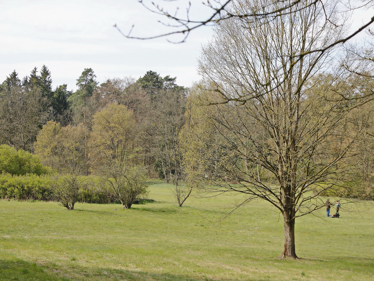 Weitere Ausläufer der Parkanlage des Zisterzienser Kloster Chorin im Landkreis Barnim in Brandenburg am 17. April 2019.