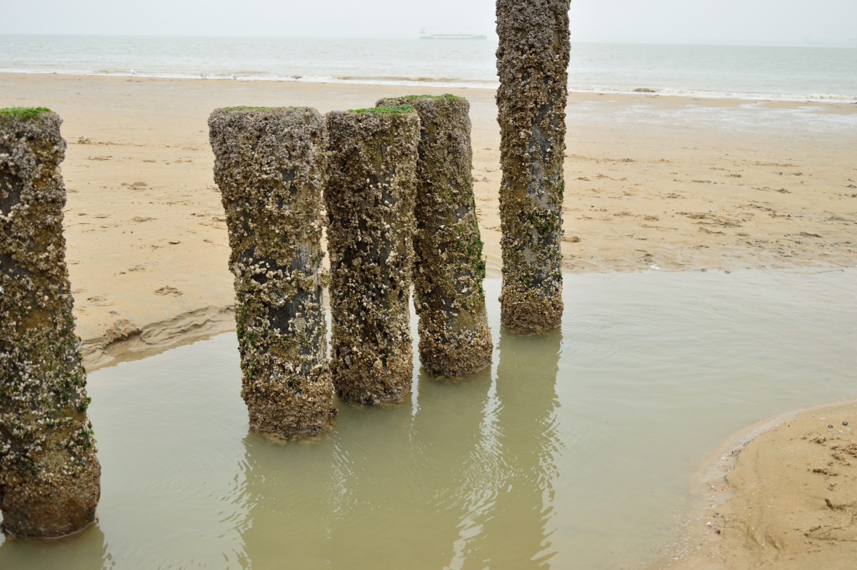 Wellenbrecher am Strand bei Breskens......am Sonntag den 22.9.2013