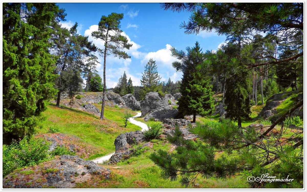 Wental & Felsenmeer bei Bartholomä auf der Schwäbischen Alb. Juni 2017
