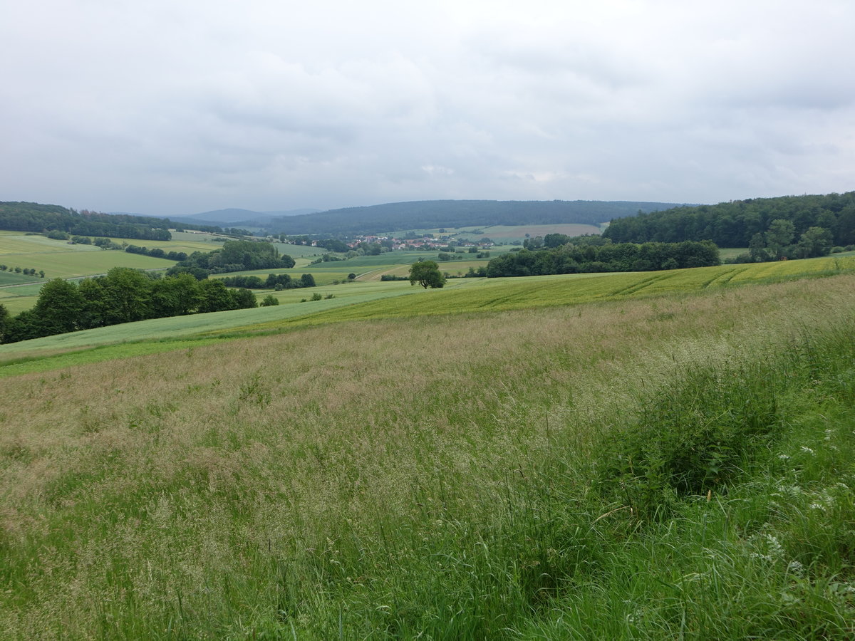 Weserbergland bei Oedelsheim, Lkr. Kassel (06.06.2019)