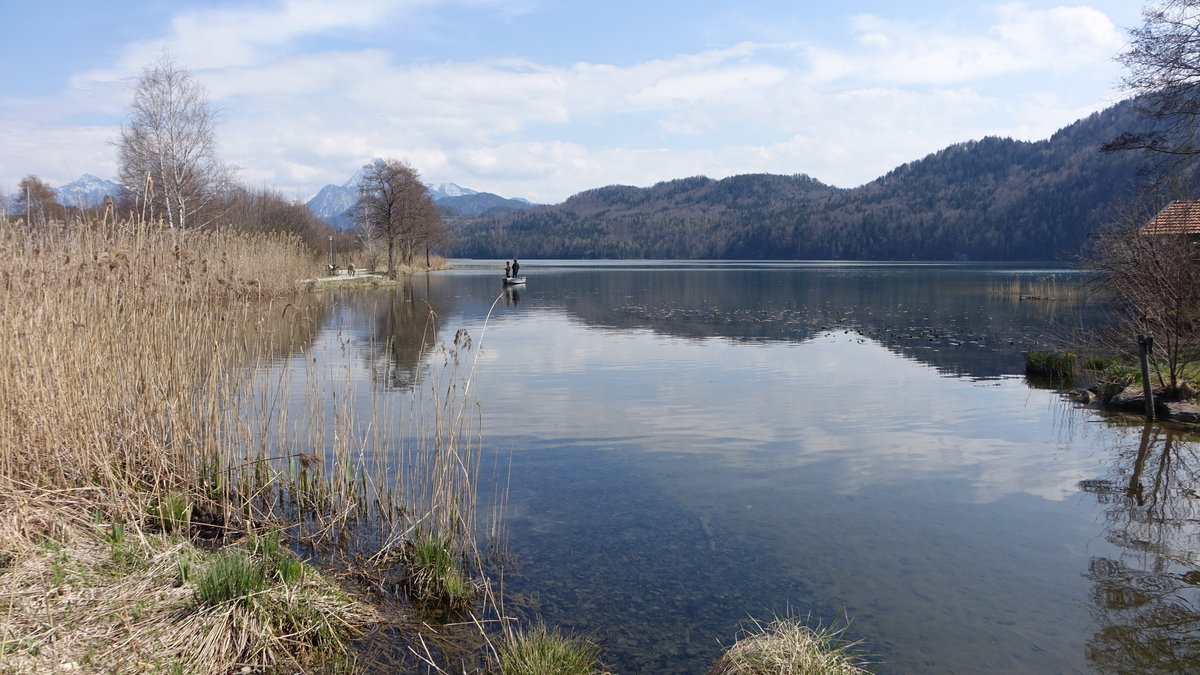 Westufer des Weißensee zwischen Füssen und Oberkirch (26.04.2021) 