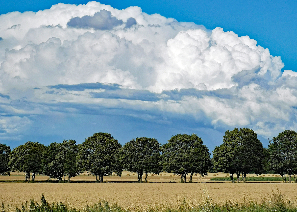 Wetter - Wolken im Aprilwetter August 2023 