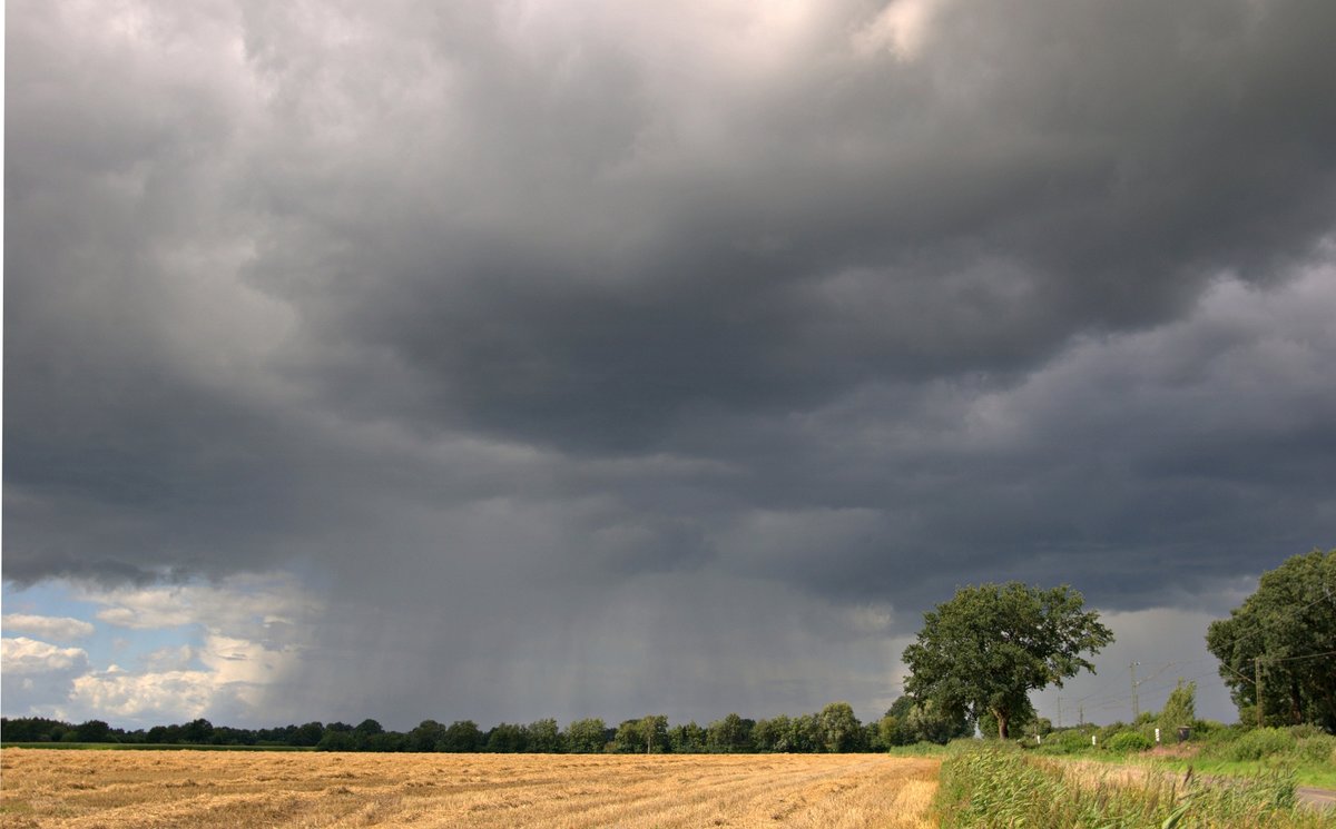 Wie ein Atompilz sieht diese mächtige Schauerwolke mit den Fallstreifen (Virga) aus, die am 10.08.16 über Diepholz hinweg in Richtung Osten zieht, aufgenommen südlich von Diepholz.