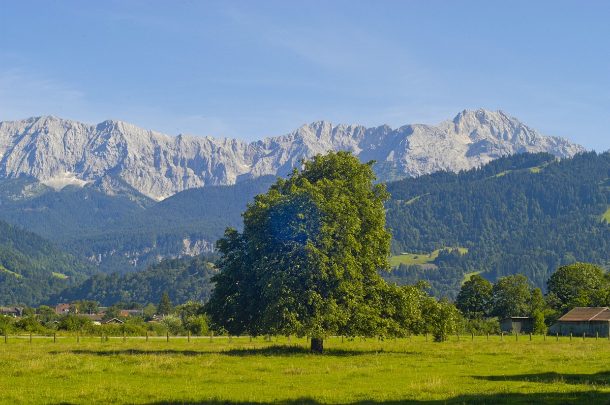 Wiese und Berge bei Garmisch-Partenkirchen. Aufnahme: August 2008.