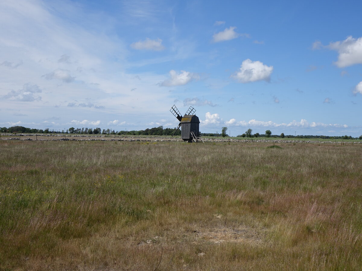 Wiesen und alte Windmühle bei Seby auf der Insel Öland (13.06.2016)