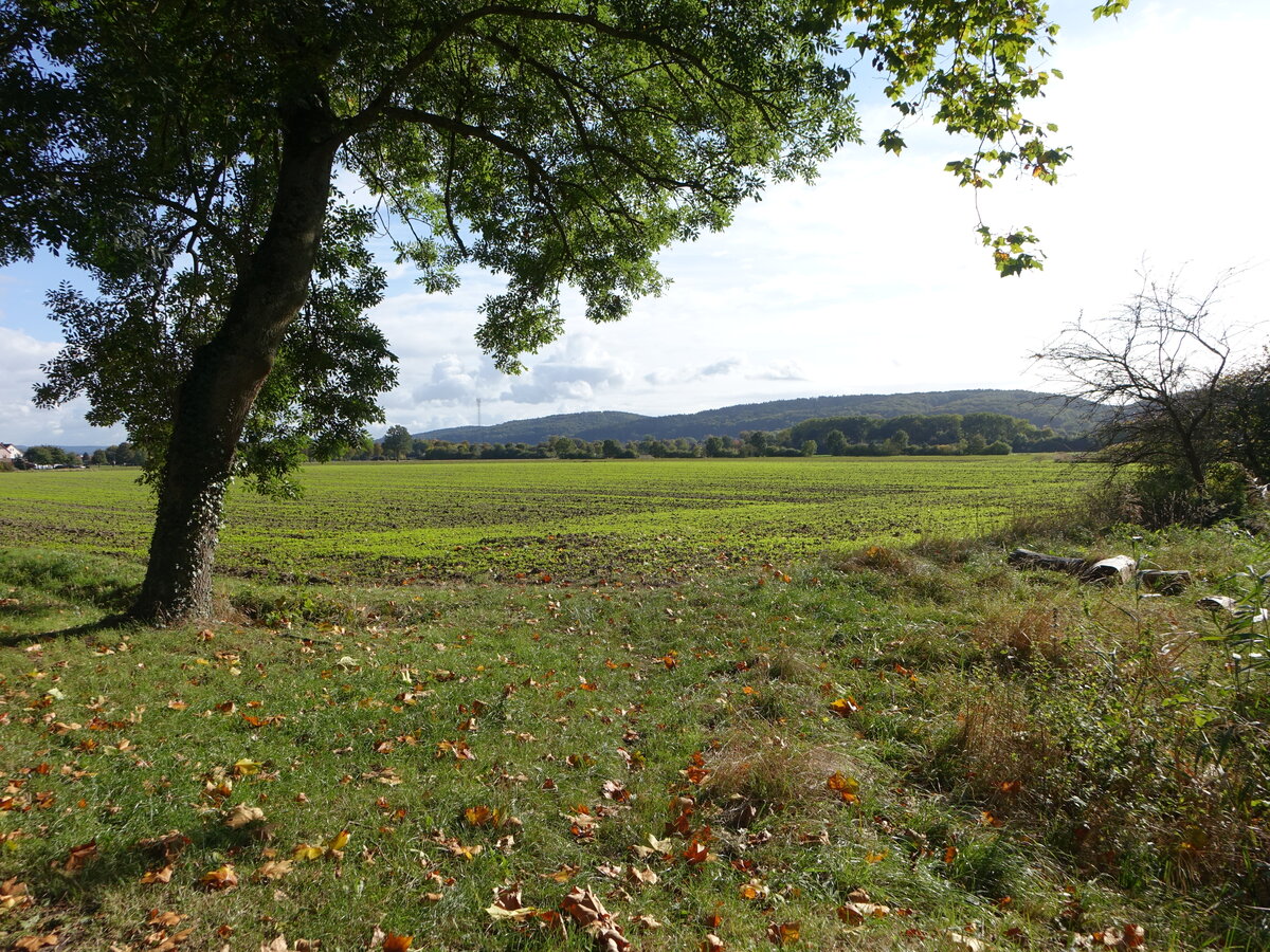 Wiesen bei Bad Essen im Wiehengebirge (11.10.2021)