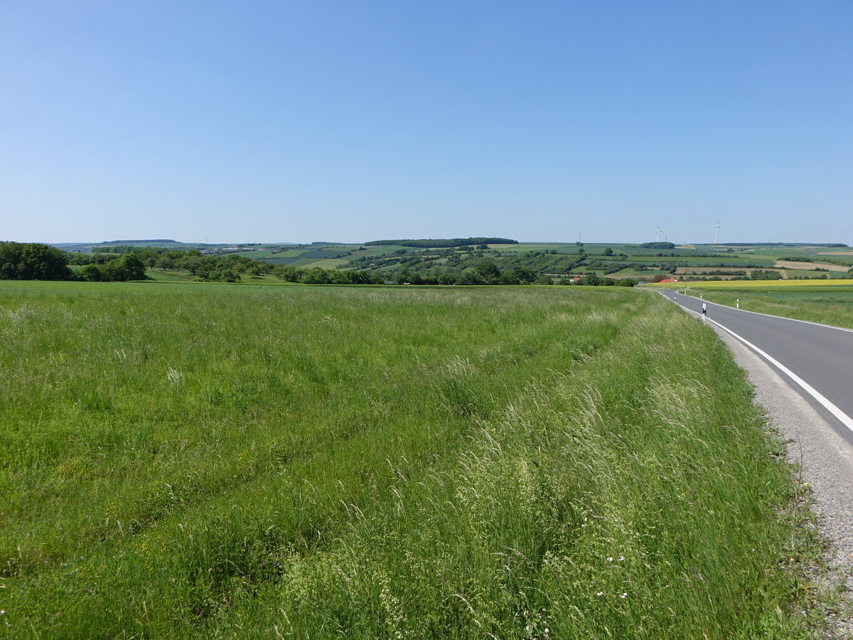 Wiesen bei Binsbach in Unterfranken (27.05.2017)