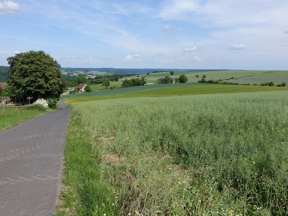 Wiesen bei Harrbach, Lkr. Main-Spessart (26.05.2018)