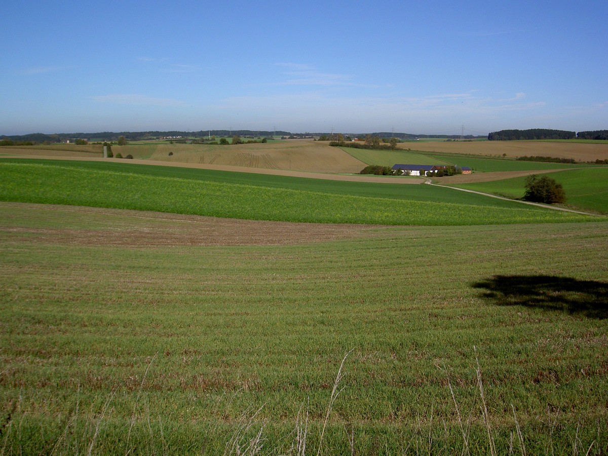 Wiesen bei Heretshausen im östlichen Landkreis Aichach-Friedberg (19.10.2014)