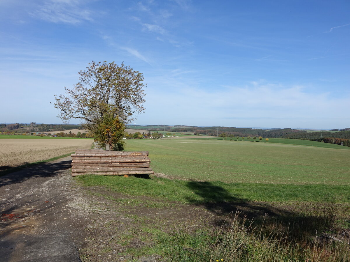 Wiesen bei Landsendorf im Thüringer Schiefergebirges (17.10.2022)