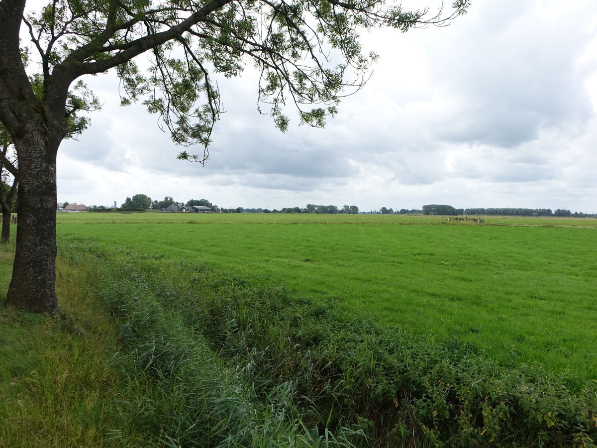 Wiesen bei Leegkerk in der Provinz Groningen (27.07.2017)