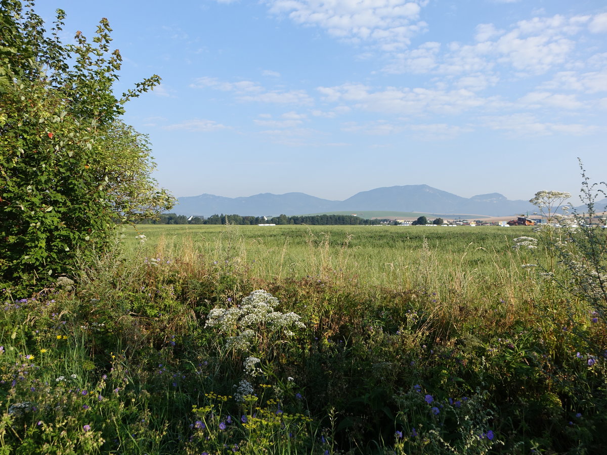 Wiesen bei Liptovsky Hradok im Liptautal (07.08.2020)